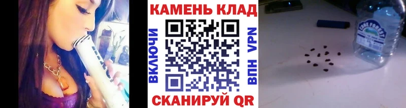 kraken как войти  Красный Холм  Гашиш индика сатива 