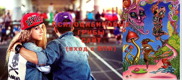 мдпв Кодинск