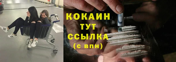 ГАЛЛЮЦИНОГЕННЫЕ ГРИБЫ Касимов