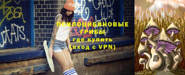 тгк Козельск