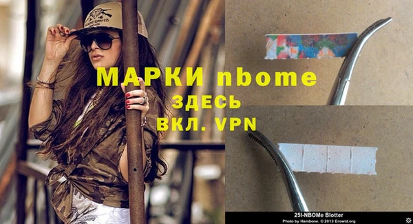 мдпв Кодинск