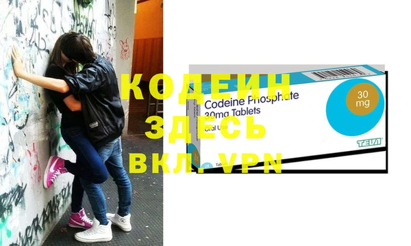 мдпв Кодинск